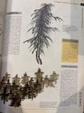  The Fine Art Of Chinese Brush Painting 