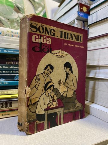  Sống Thánh Giữa Đời - Ph. Hoàng Minh Toán 