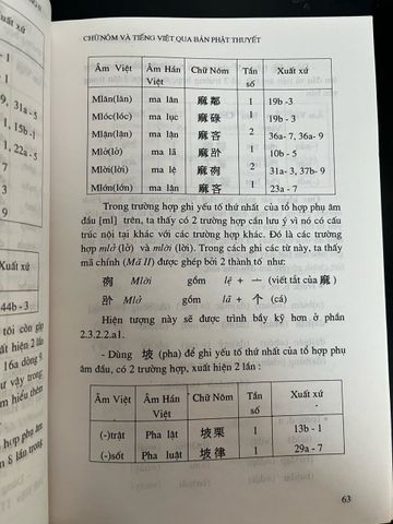 Chữ Nôm và Tiếng Việt Qua Bản Giải Âm Phật Thuyết Đại Báo, Phụ Mẫu Ân Trọng Kinh - Hoàng Thị Ngọ