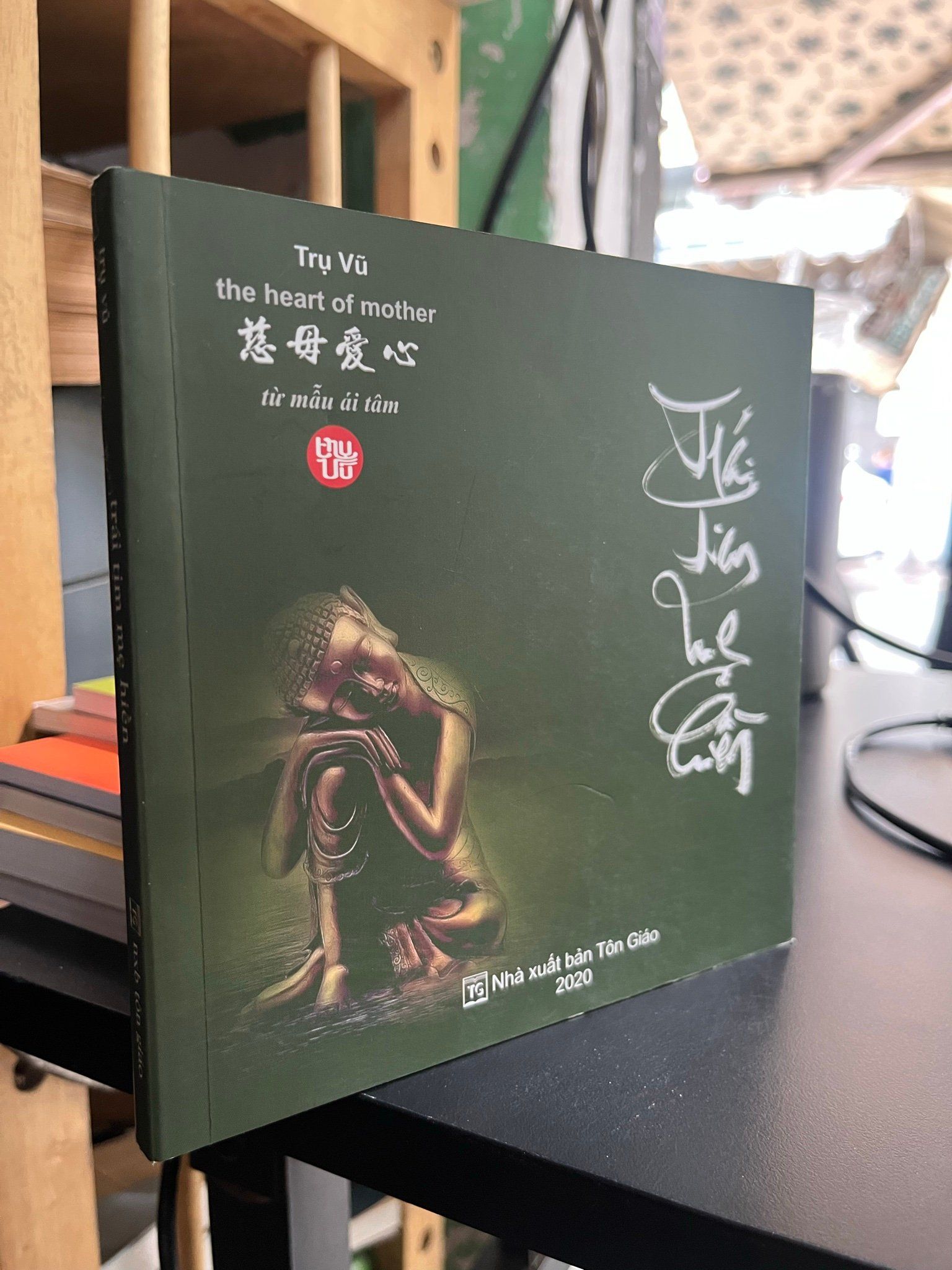  Trái tim mẹ hiền - Trụ Vũ 