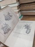  Chirurgie De L'abdomen - Jean Quénu, René Kuss 