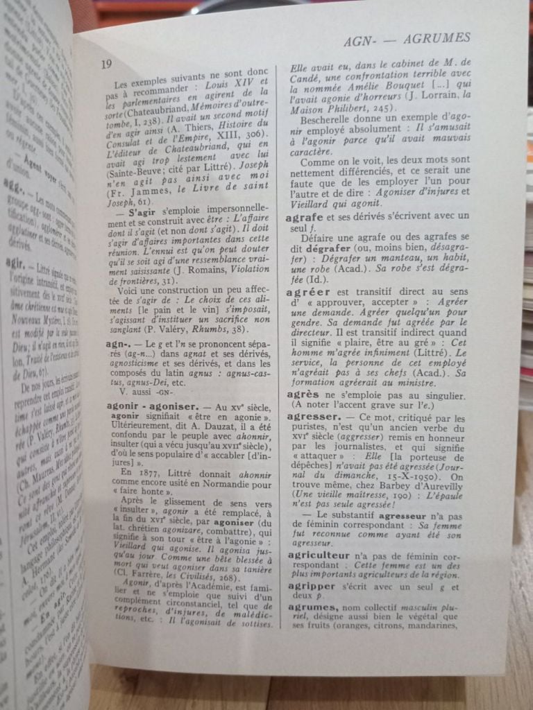  Dictionnaire Des Difficultés De La Langue Francaise 
