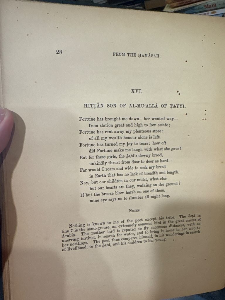  Ancient Arabian Poetry - Charles James Lyall 