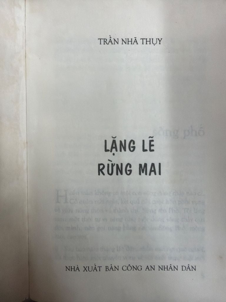  Lặng Lẽ Rừng Mai - Trần Nhã Thụy 