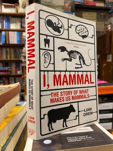 I, Mammal - Liam Drew