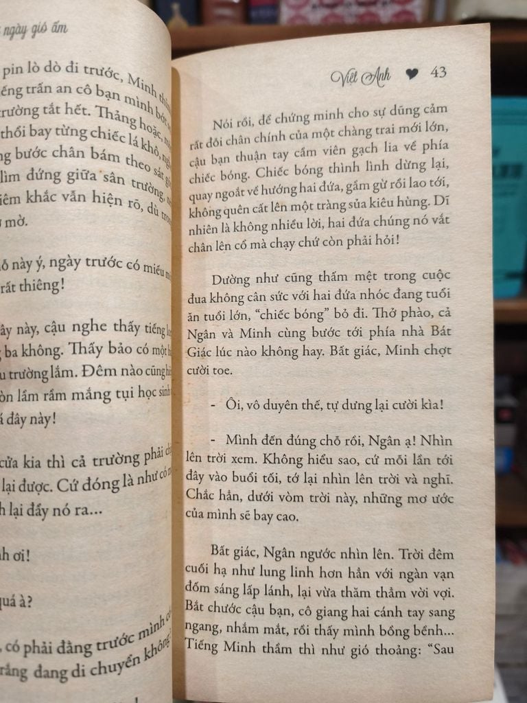  Thư Ngày Gió Ấm - Việt Anh 
