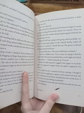  Hush, hush - Becca Fitzpatrick 