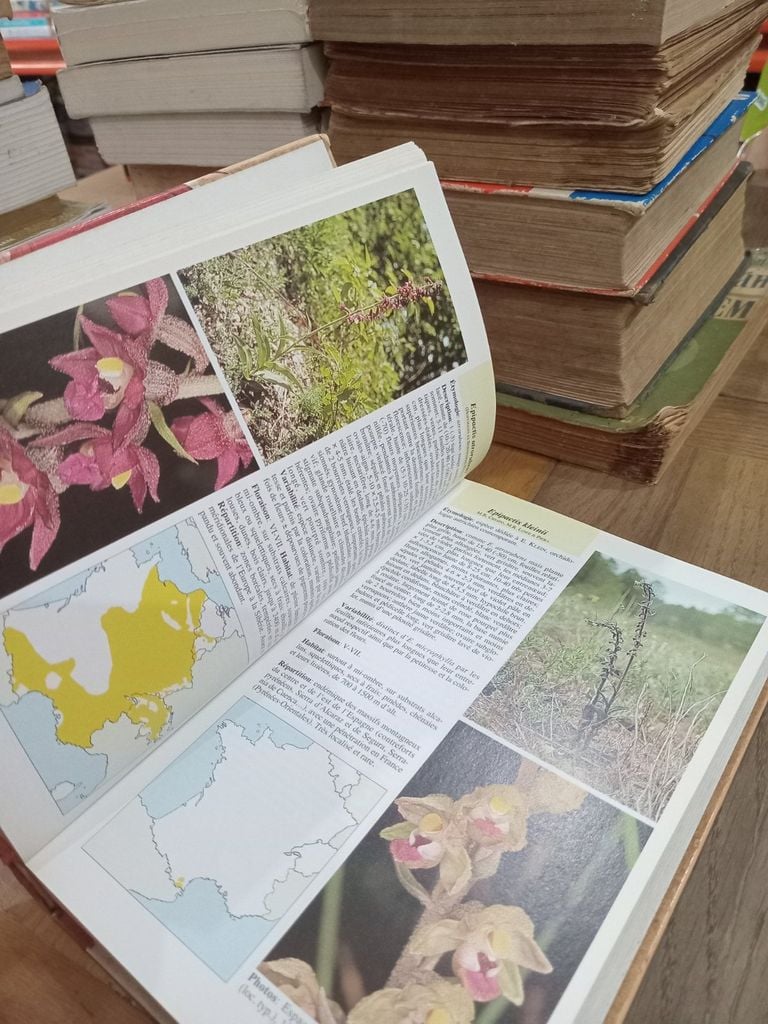  Guide Des Orchidées De France, De Suisse Et Du Benelux - Pierre Delforge 
