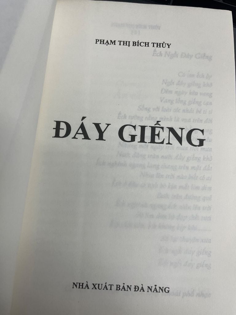  Đáy Giếng - Phạm Thị Bích Thủy 