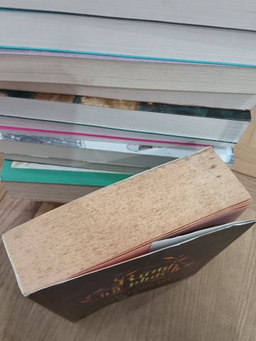  Rừng hổ phách - Thập Tứ Khuyết 