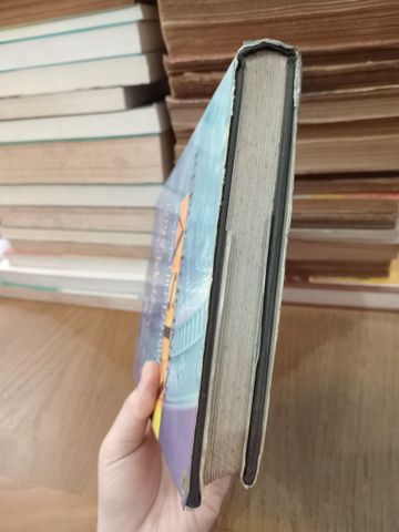  Repositioning Asia: From bubble to sustainable economy - P. Kotler, H. Kartajaya 