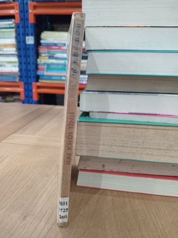  Hai khối tình - Hồ Biểu Chánh 