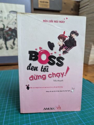  Boss Đen Tối Đừng Chạy - Mèo Lười Ngủ Ngày 
