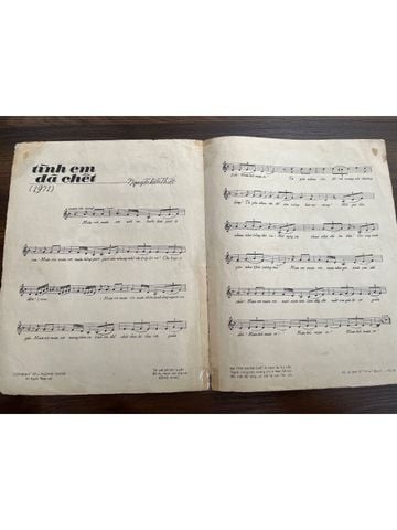  Tình Em Đã Chết - Nguyễn Hữu Thiết 