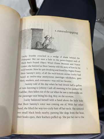  the higher power of lucky - Susan Patron 