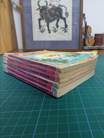  Truyện tranh Ánh nắng thanh xuân 