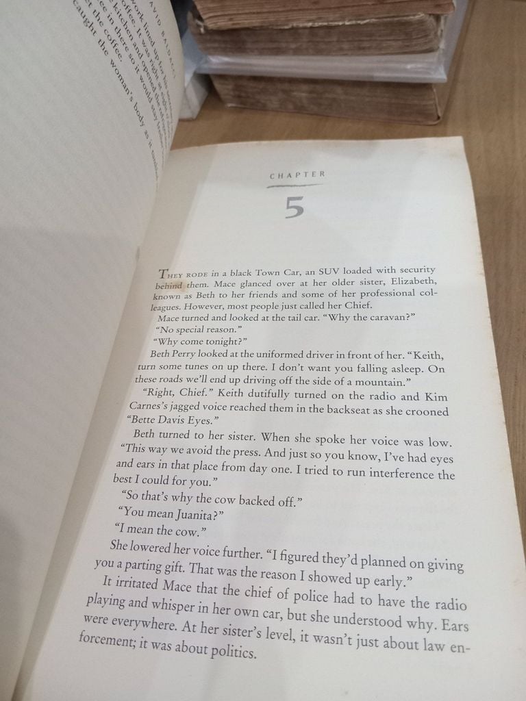  True Blue - David Baldacci 
