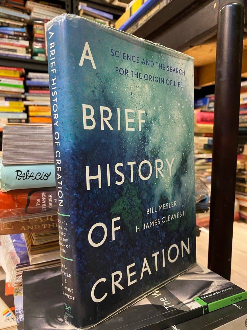  A Brief History of Creation - Bill Mesler, H. James Cleaves II 