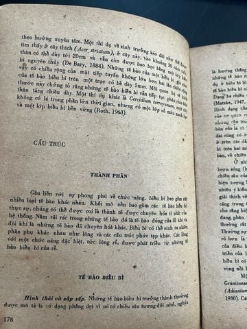  Giải phẫu thực vật 