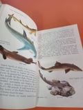  Fishes Of The World - Allan Cooper 
