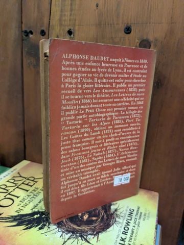  Le Petit Chose - Alphonse Daudet 