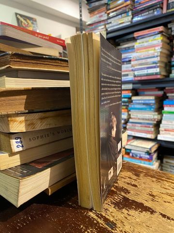  Rex - Cathleen Lewis 