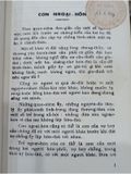  Con Ngoại Hôn 