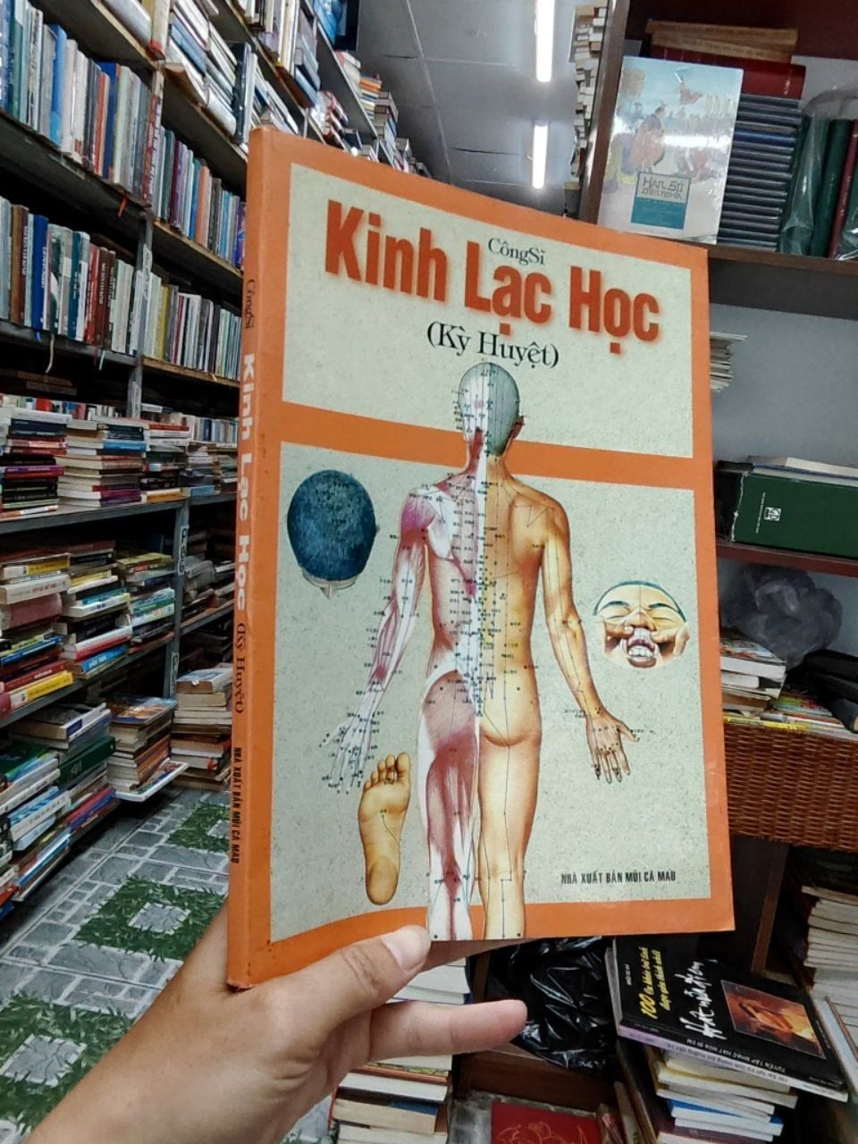  Kinh lạc học (kỳ huyệt) - Công Sĩ 