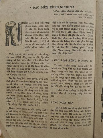  Đến với rừng - Nhiều tác giả 