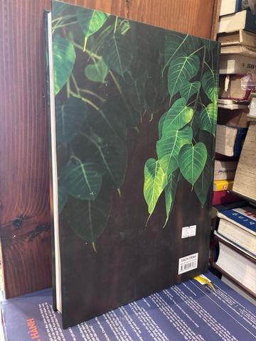  Bồ Đề Tân Văn - Thiền viện Trúc Lâm Trí Đức 