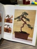  The Essential Bonsai - Ken Norman 