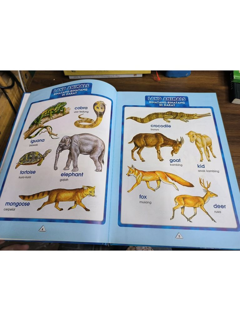  Our Natural World 