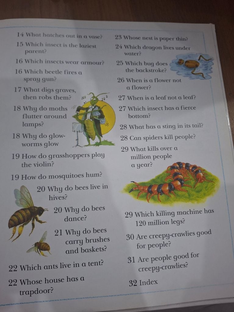  I Wonder Why Spiders Spin Webs And Other Questions About Creepy Crawlies - Amanda O'Neill 