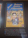  Public Health Campaigns: Getting The Message Across 