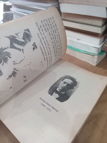 Phê Bình Bình Luận Văn Học: Trương Vĩnh Ký, Hoàng Ngọc Phách, Hồ Biểu Chánh, Phạm Duy Tốn, Hồ Dzếnh