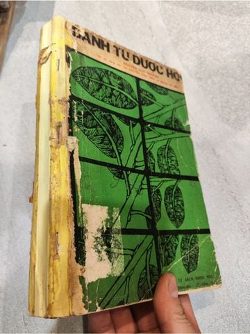 Danh Từ Dược Học 