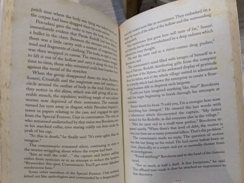  The dark valley - Valerio Varesi 