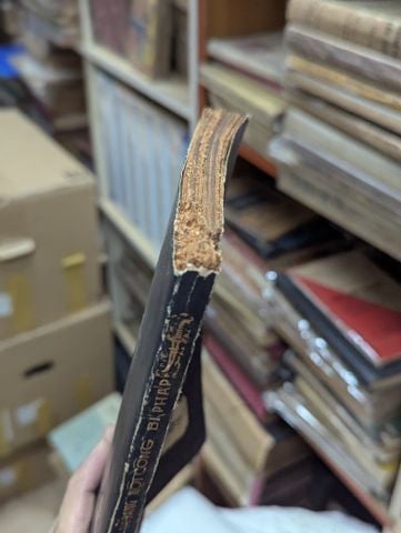  VÕ ĐANG NỘI CÔNG BÍ PHÁP - NAM ANH 