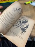  Em Nhỏ và Anh Hùng - M. Tsim-mơ-rinh 