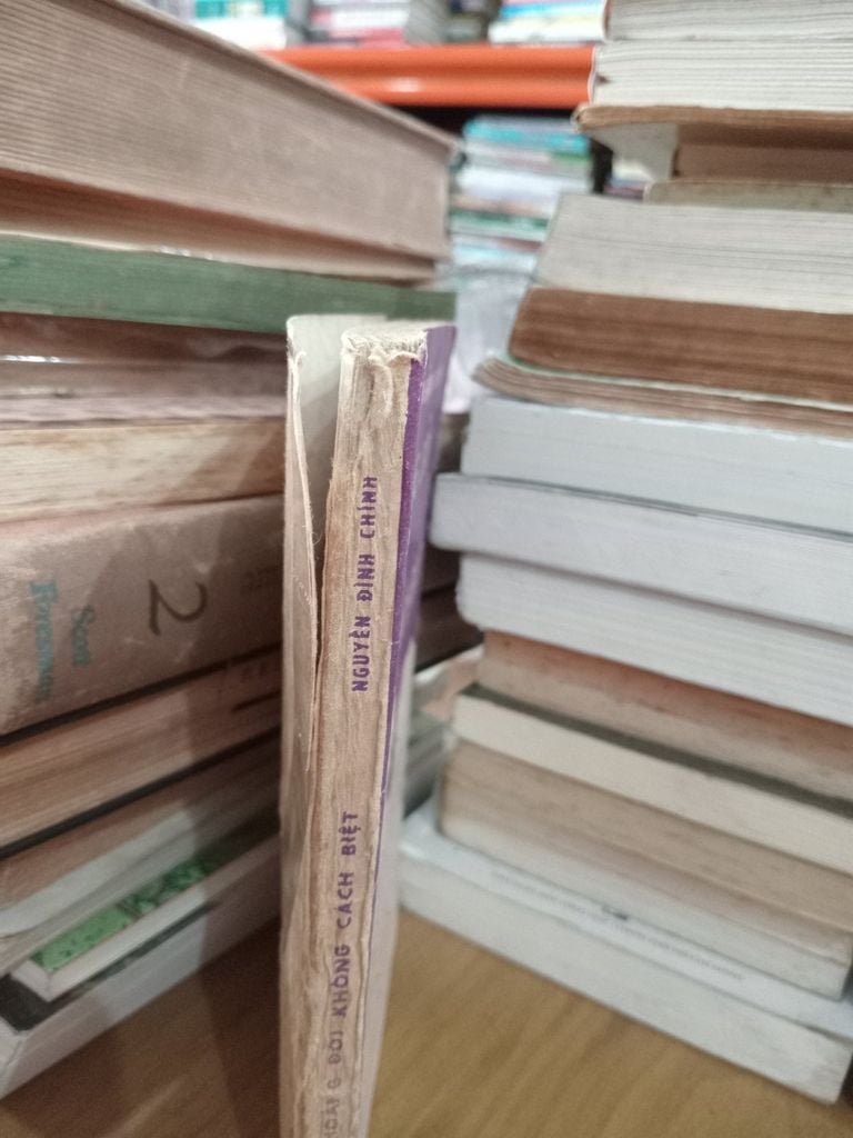 Khoảng Đời Không Cách Biệt - Nguyễn Đình Chính 