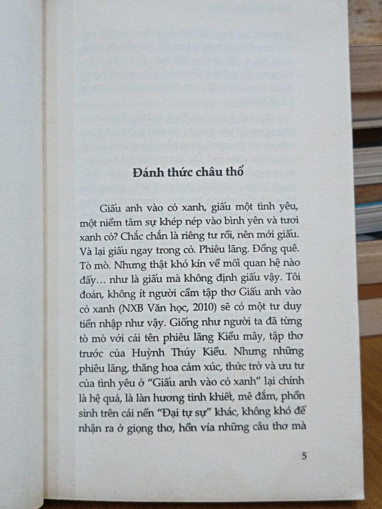  Đốt Đèn Tìm Lửa Thơ: Những Suy Cảm - Trần Quang Quý 
