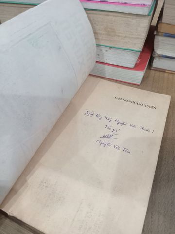  Một nhành xao xuyến - Nguyễn Văn Tâm, Nhật Anh, Triệu Lam Châu 