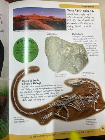  Bách khoa cho trẻ em: Bách khoa khủng long 