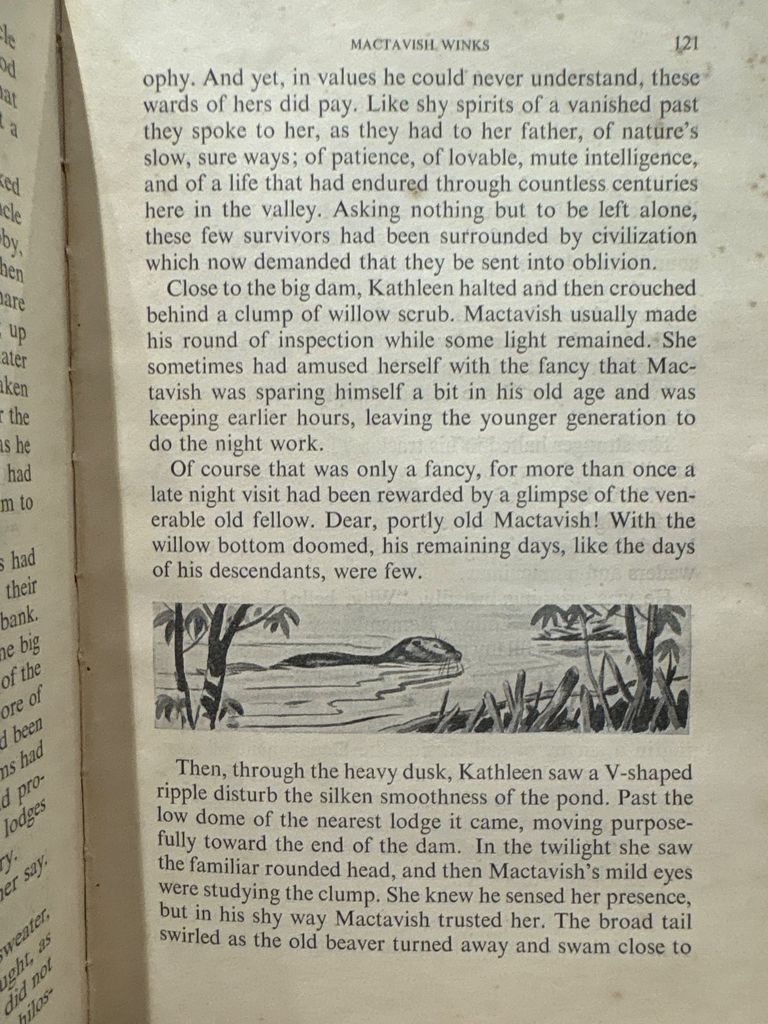  Adventures In Reading Exploration 