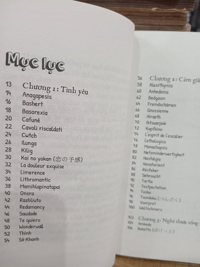  Từ Điển Cảm Xúc Thế Giới 