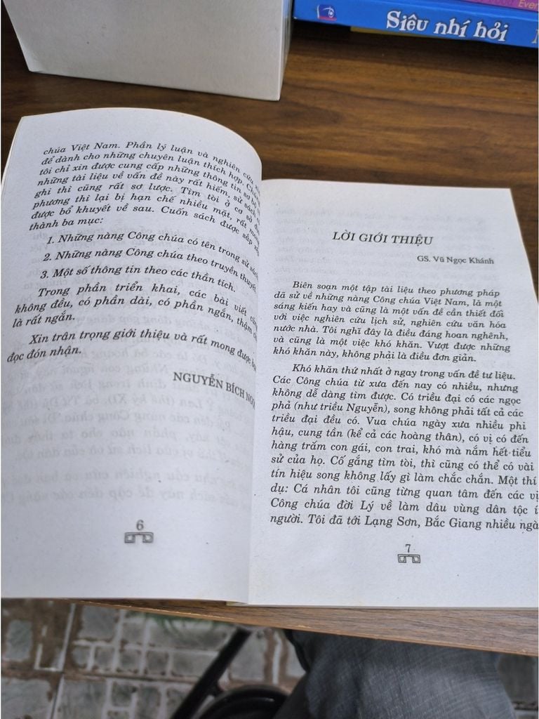  Công Chúa Việt Nam - Nguyễn Bích Ngọc 