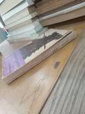  Man Before History - Edited by Creighton Gabel 