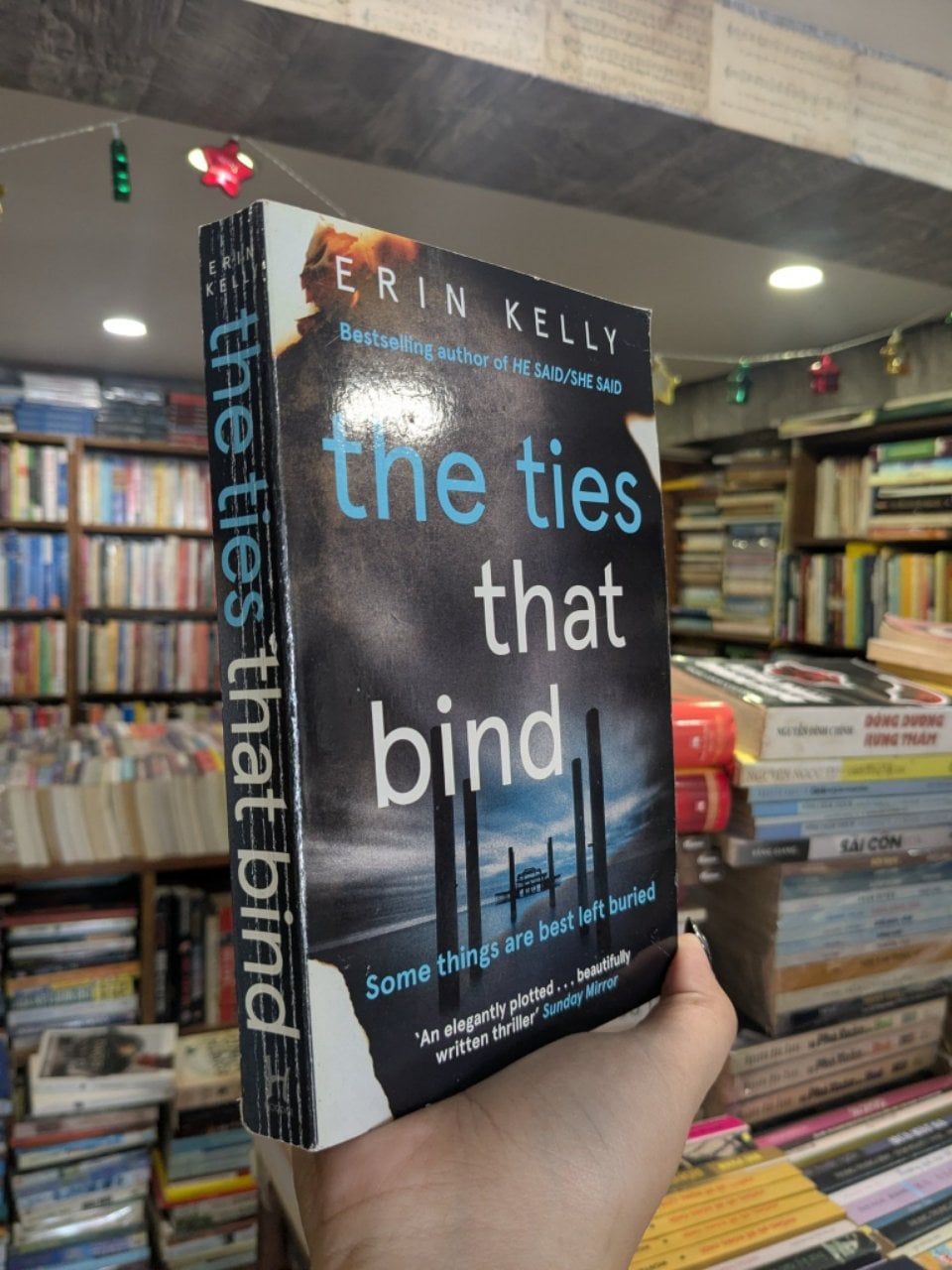  The ties that blind - Erin Kelly 