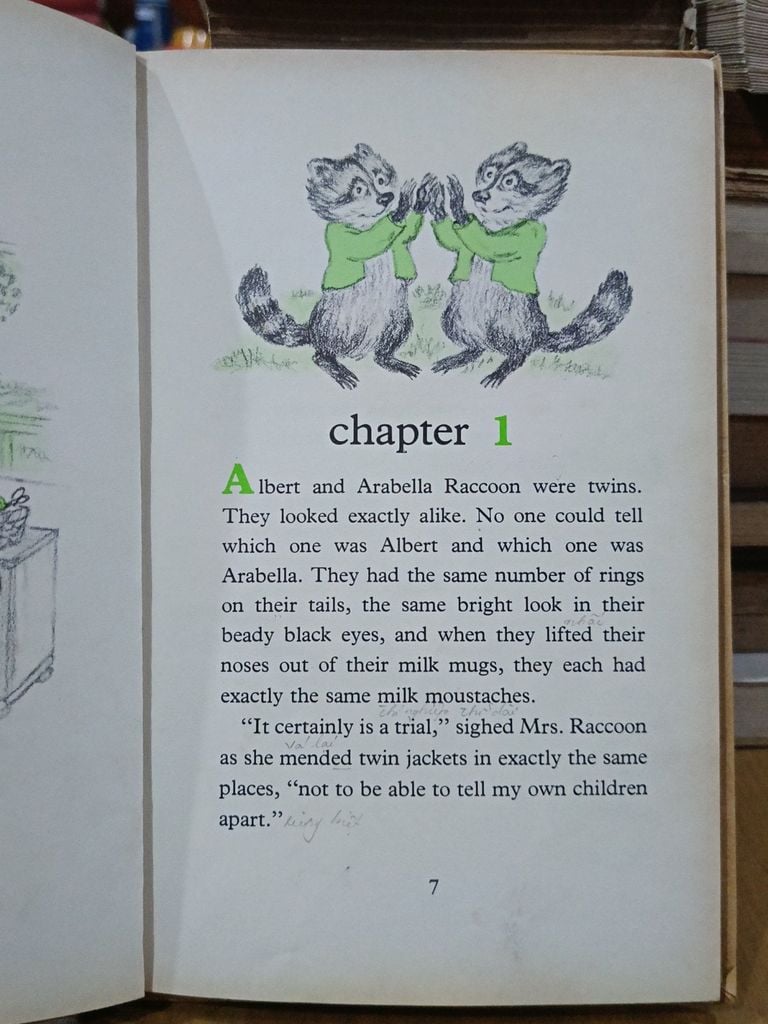  Here Come Raccoons! - Lillian Hoban 
