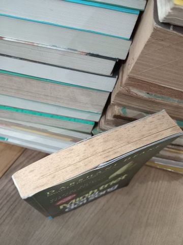  Minh triết trong đời sống - Darshani Deane 